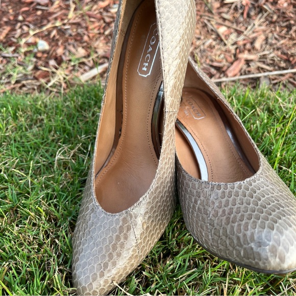 Coach Shoes Coach Pump In Taupe With Animal Skinleather Upper In